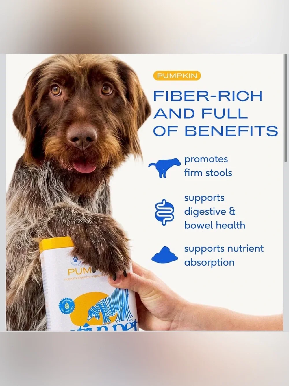 Native Pet Pumpkin for Dogs - Organic Dog Food Topper Powder - 03/11/27
